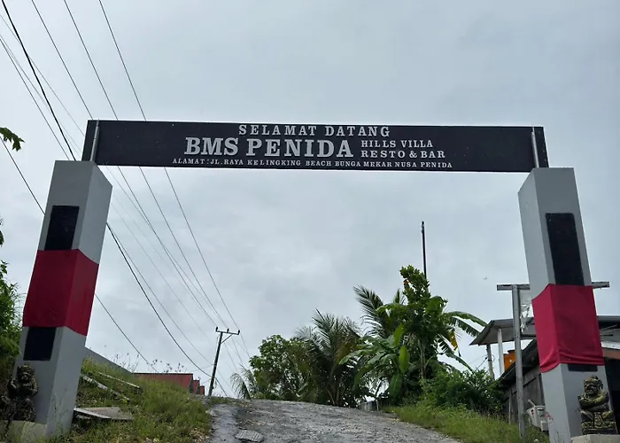 Kelingking Bms Penida Hills